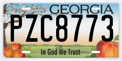 GA license plate PZC8773