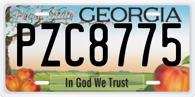 GA license plate PZC8775
