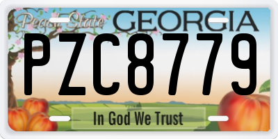 GA license plate PZC8779