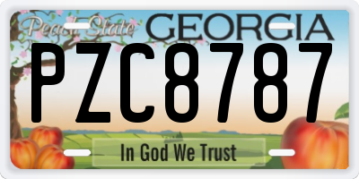 GA license plate PZC8787