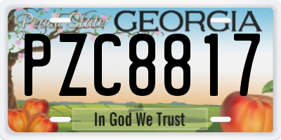 GA license plate PZC8817