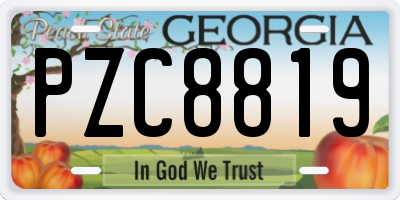 GA license plate PZC8819