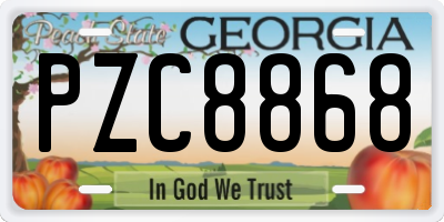 GA license plate PZC8868