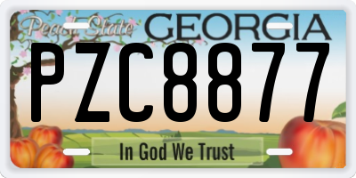 GA license plate PZC8877