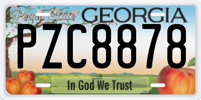 GA license plate PZC8878