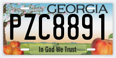 GA license plate PZC8891