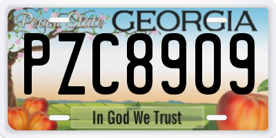 GA license plate PZC8909