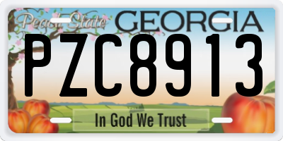GA license plate PZC8913