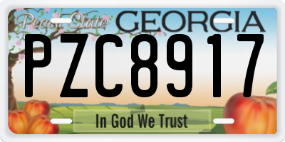 GA license plate PZC8917