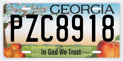 GA license plate PZC8918