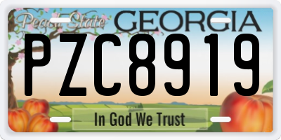 GA license plate PZC8919
