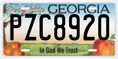 GA license plate PZC8920