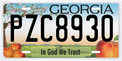 GA license plate PZC8930