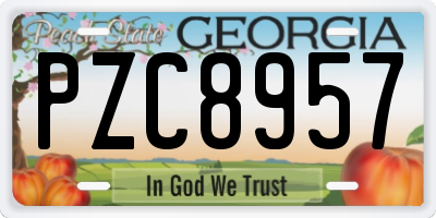 GA license plate PZC8957
