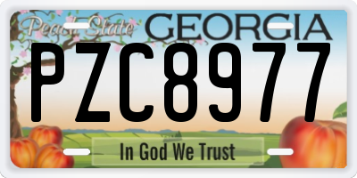 GA license plate PZC8977