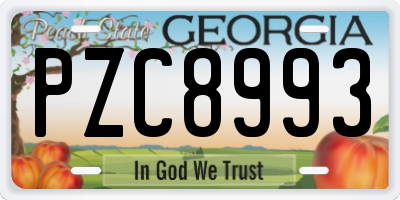GA license plate PZC8993