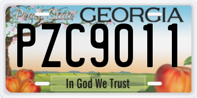 GA license plate PZC9011