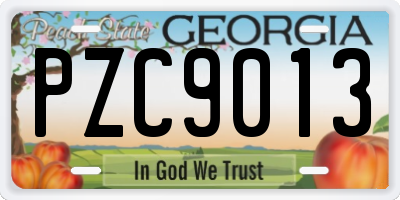 GA license plate PZC9013