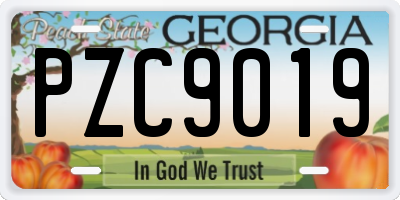 GA license plate PZC9019