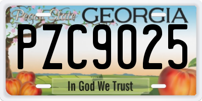 GA license plate PZC9025