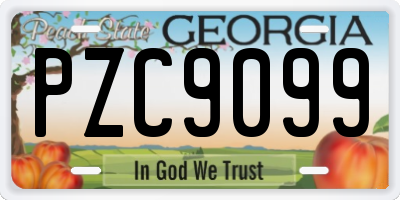 GA license plate PZC9099