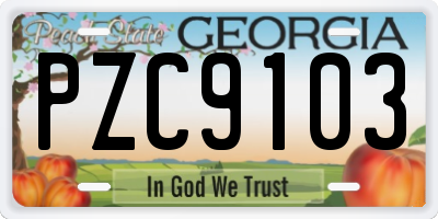 GA license plate PZC9103