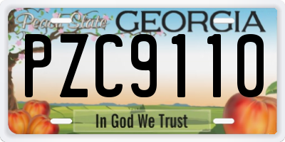 GA license plate PZC9110