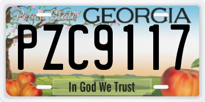 GA license plate PZC9117