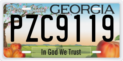 GA license plate PZC9119