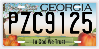 GA license plate PZC9125