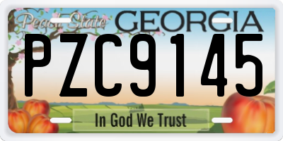 GA license plate PZC9145