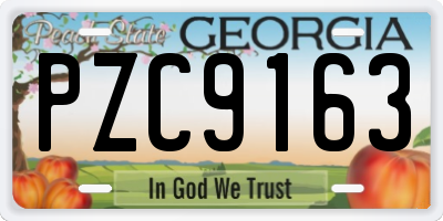 GA license plate PZC9163