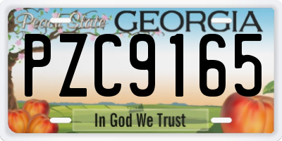 GA license plate PZC9165