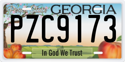 GA license plate PZC9173