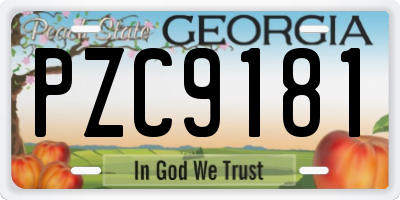 GA license plate PZC9181