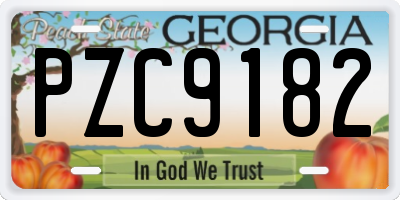 GA license plate PZC9182
