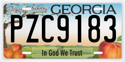 GA license plate PZC9183