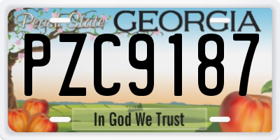 GA license plate PZC9187