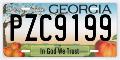 GA license plate PZC9199