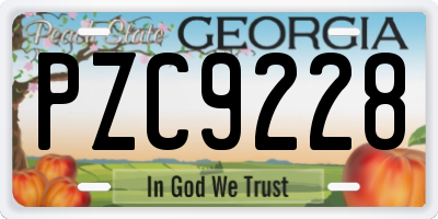 GA license plate PZC9228