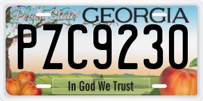 GA license plate PZC9230