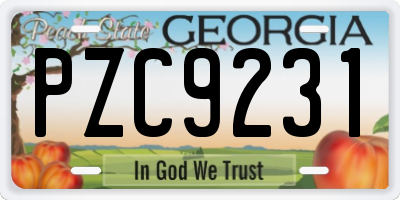 GA license plate PZC9231