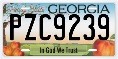 GA license plate PZC9239