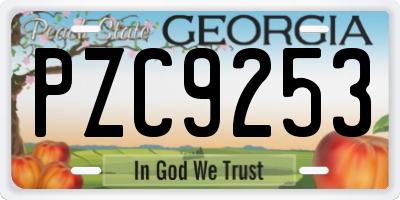 GA license plate PZC9253