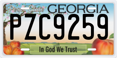 GA license plate PZC9259