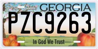 GA license plate PZC9263