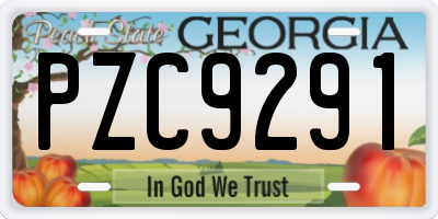GA license plate PZC9291