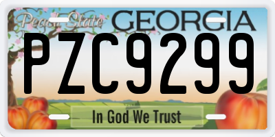 GA license plate PZC9299