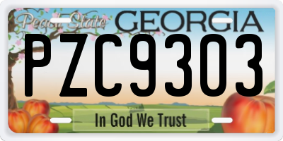 GA license plate PZC9303