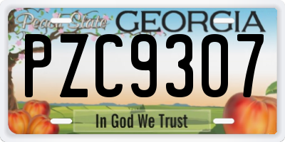 GA license plate PZC9307